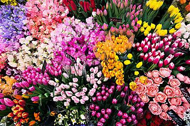 超过400万人24小时内从Epic领了《装机模拟器》